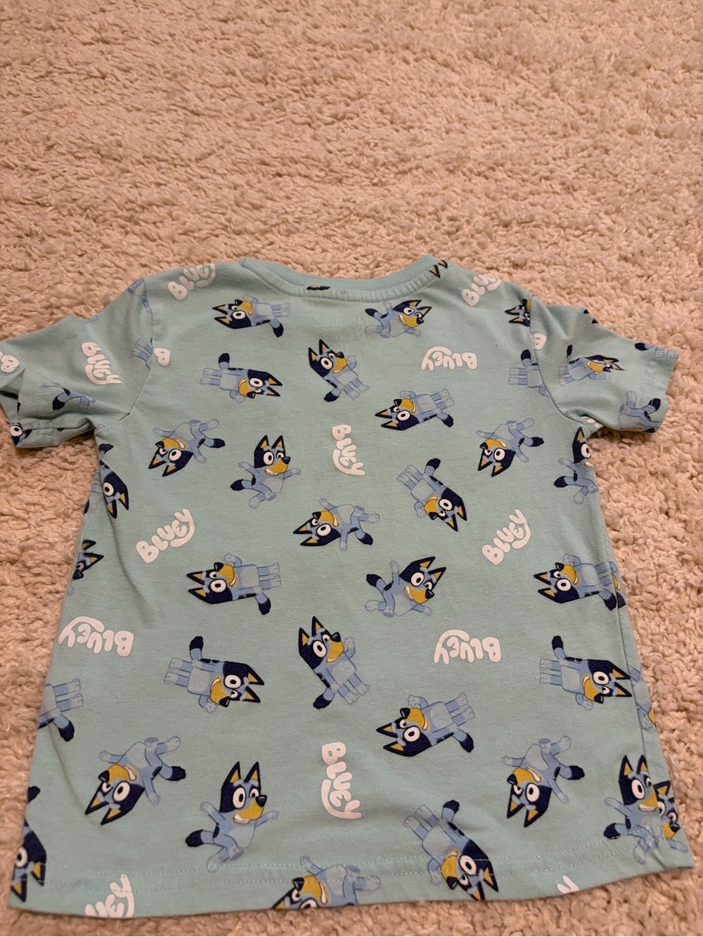 Disney Bluey Tee!! 4T